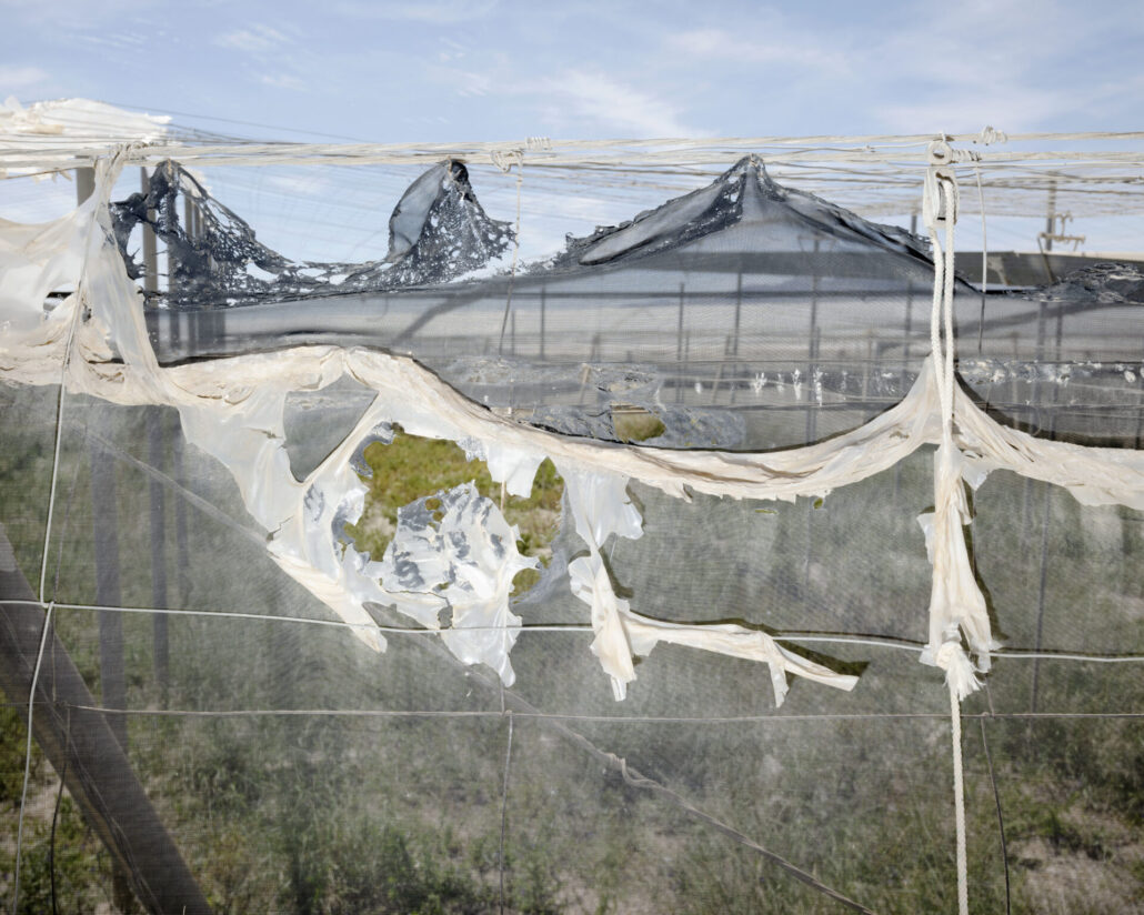 Open Call: Workshop mit Rob Hornstra am 18. September 2025