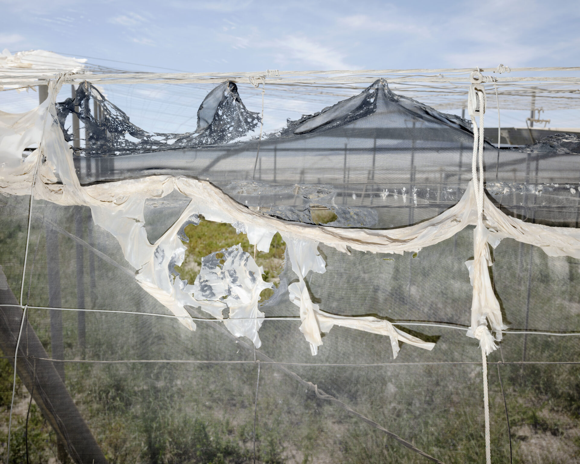Open Call: Workshop mit Rob Hornstra am 18. September 2025