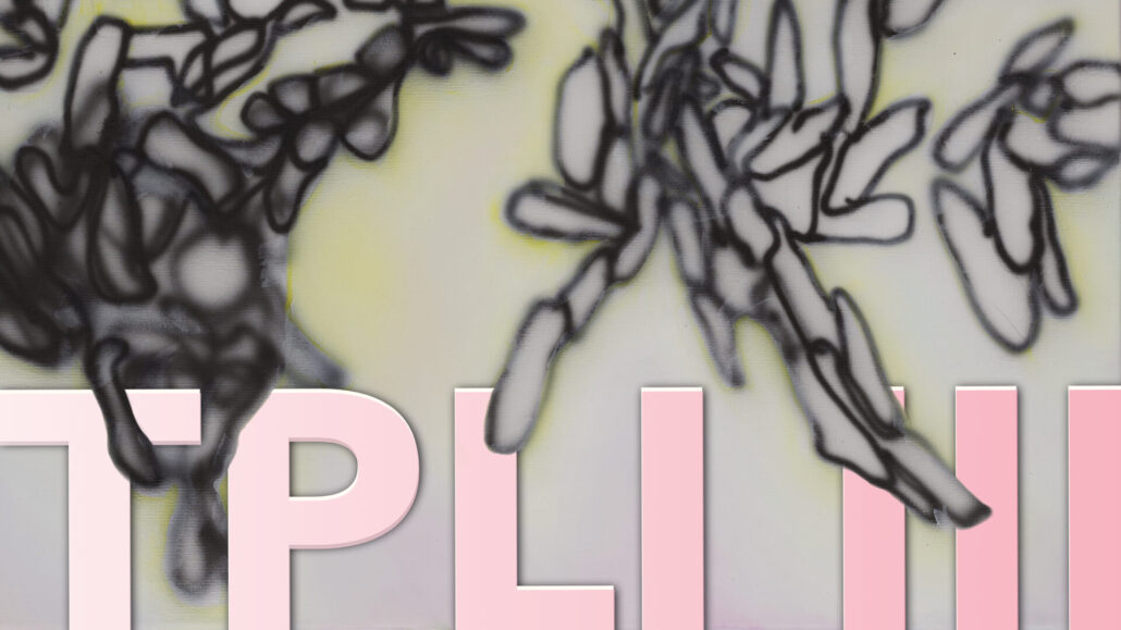 SUPERRAUM: TABULA PICTA LOREM IPSUM III