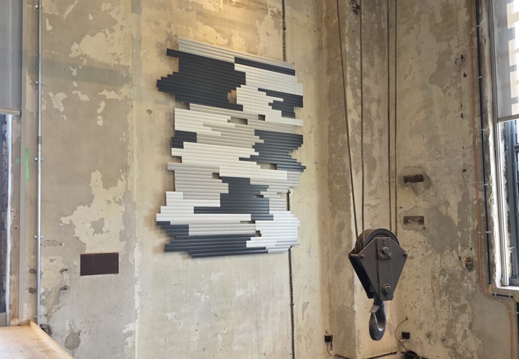 HANSA TRANSIT — Interventions in Public and Private Spheres